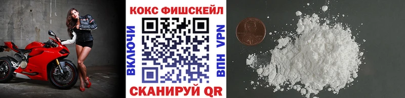 Cocaine Fish Scale  Купить закладки  Невьянск 