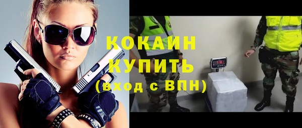 a pvp Горняк