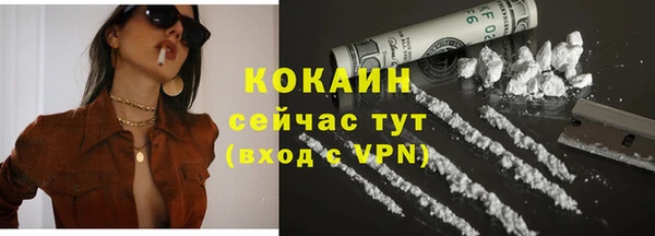 a pvp Горняк