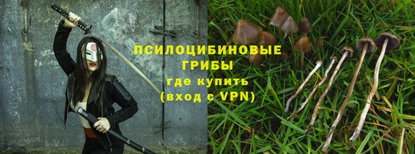 a pvp Горняк