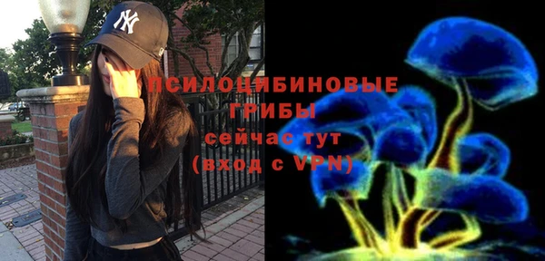 таблы Горнозаводск