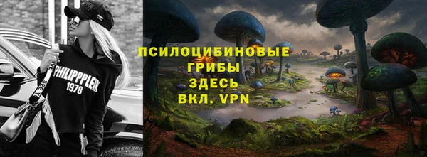 таблы Горнозаводск