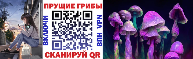 Купить  Невьянск  Псилоцибиновые грибы прущие грибы 